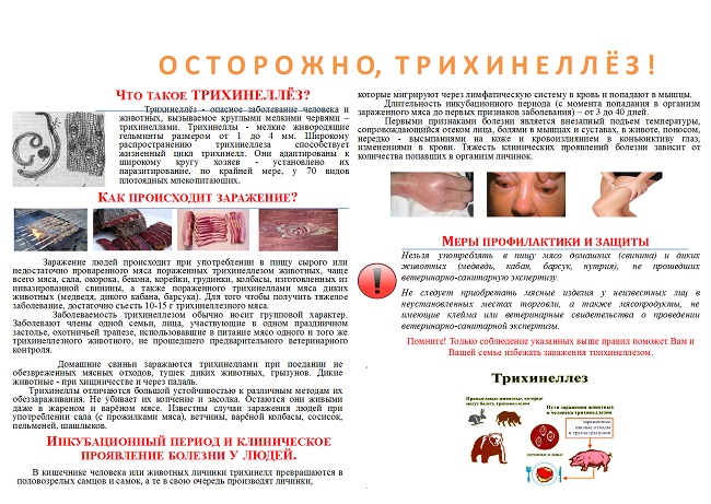 Перетащите картинку в рабочую область