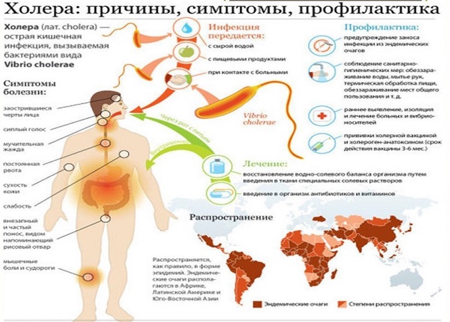Перетащите картинку в рабочую область