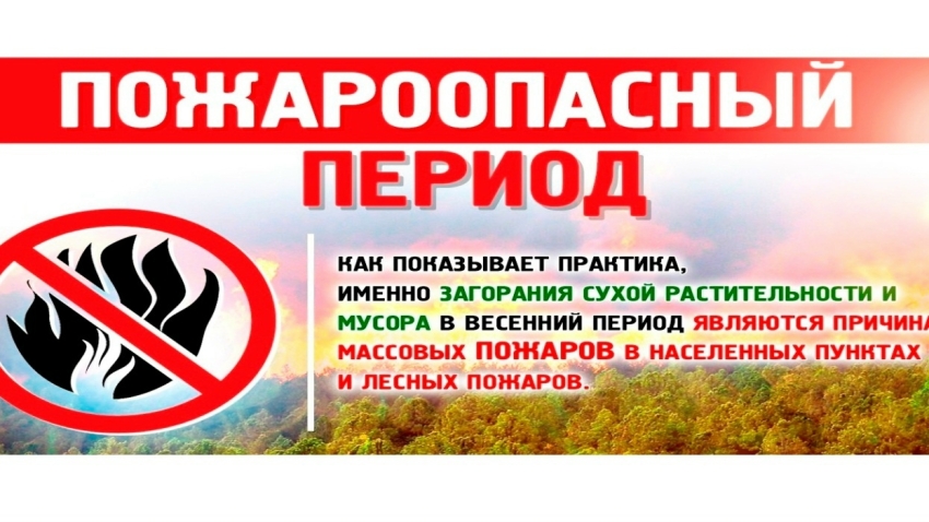 Пожароопасный период! Как не допустить пожар в лесу!